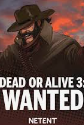 Dead or Alive 3 Wanted: демо режим и реальный на деньги